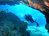 Scuba Diving in Western Australia, Perth Scuba Diving, Scuba Diving WA, Scuba Diving Spots in Western Australia 