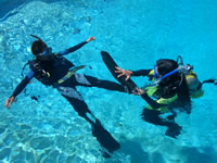 Scuba Diving in Western Australia, Perth Scuba Diving, Scuba Diving WA, Scuba Diving Spots in Western Australia 